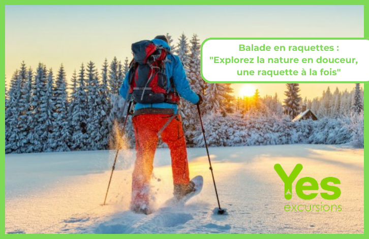 Balade en raquettes à Val d'Isère
